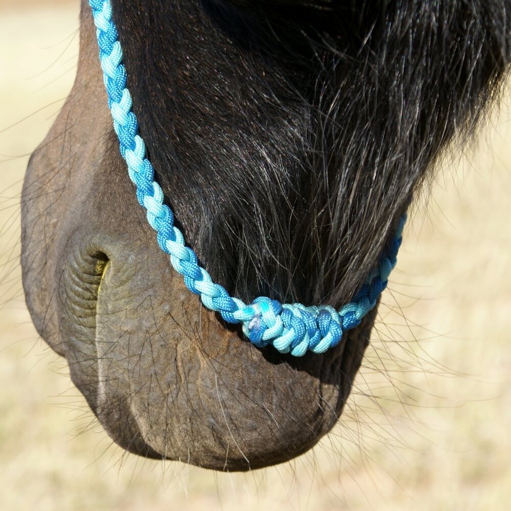 Handmade Braided Paracord Western Horse Training Cavesson/Caveson Noseband - Picture 3 of 7